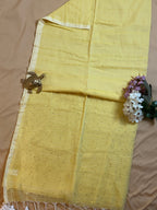 Handwoven Mul Cotton Saree with Sparkling Sequin