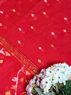 Jamdani inspired Saree in Soft Cotton